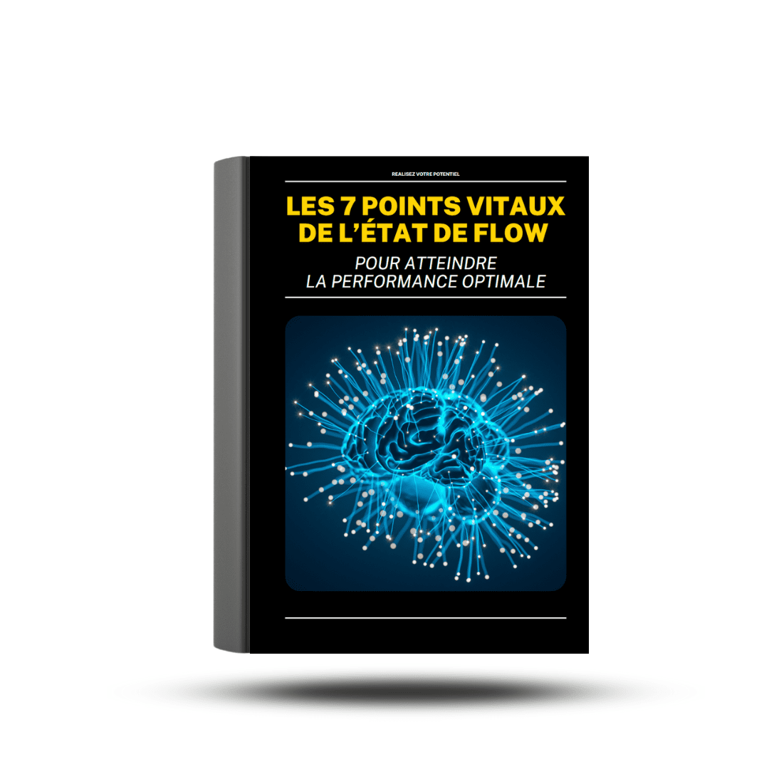 7 points vitaux État de Flow Book Cover